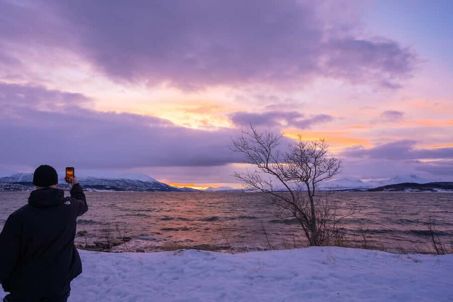 Tromsø: Senja Fjord Tour in Chinese/English Small-Group - Wildlife watching without false promises