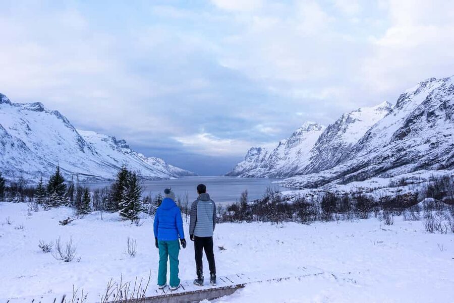Tromsø: Senja Fjord Tour in Chinese/English Small-Group - Who will enjoy this tour most