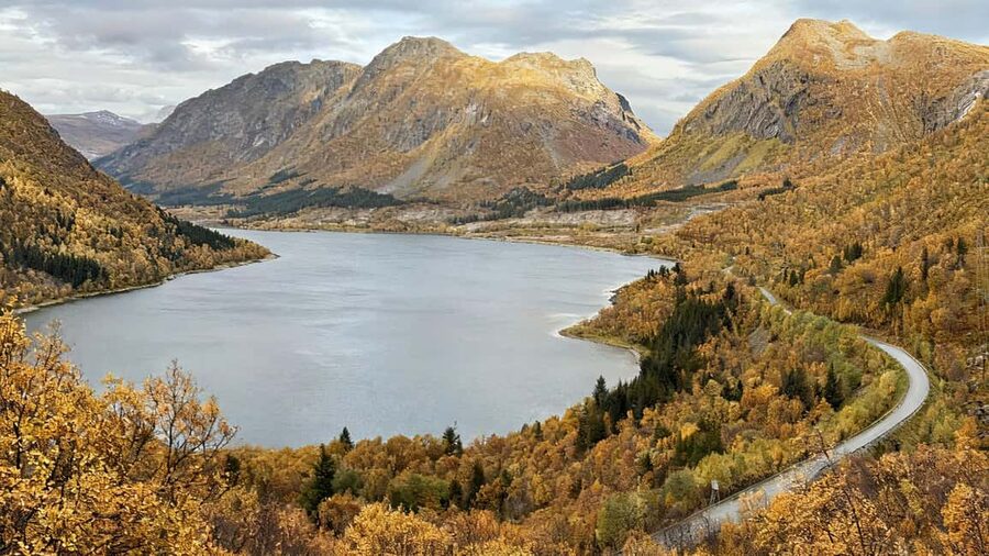 Tromsø: Senja Fjords & Coast Day Tour with FREE Photos - Bergsbotn gives the day a final high view