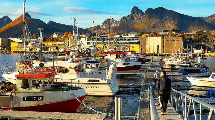 Tromsø: Senja Fjords & Coast Day Tour with FREE Photos - What to bring for nine hours on the road