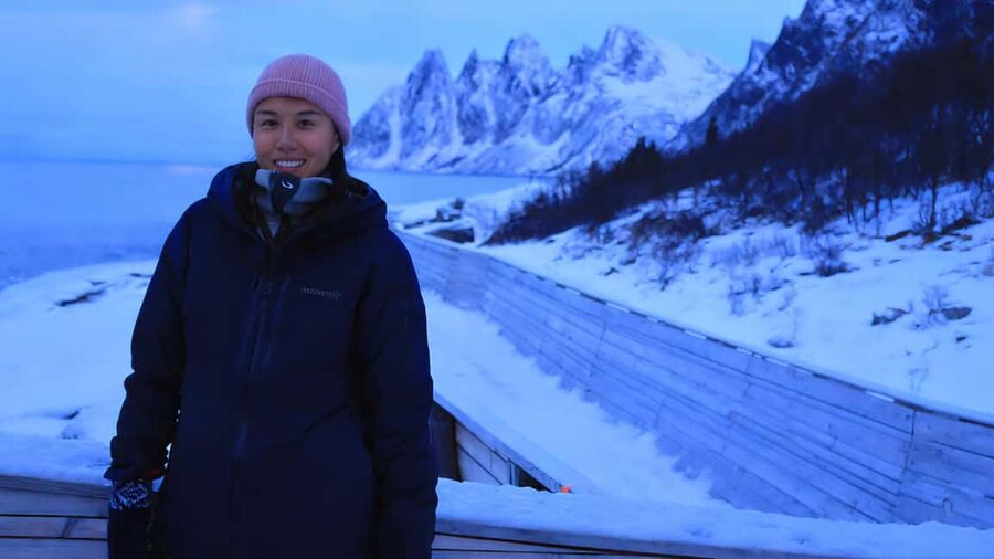 Tromsø: Senja Fjords & Coast Day Tour with FREE Photos - Ersfjord Beach and the Arctic shoreline