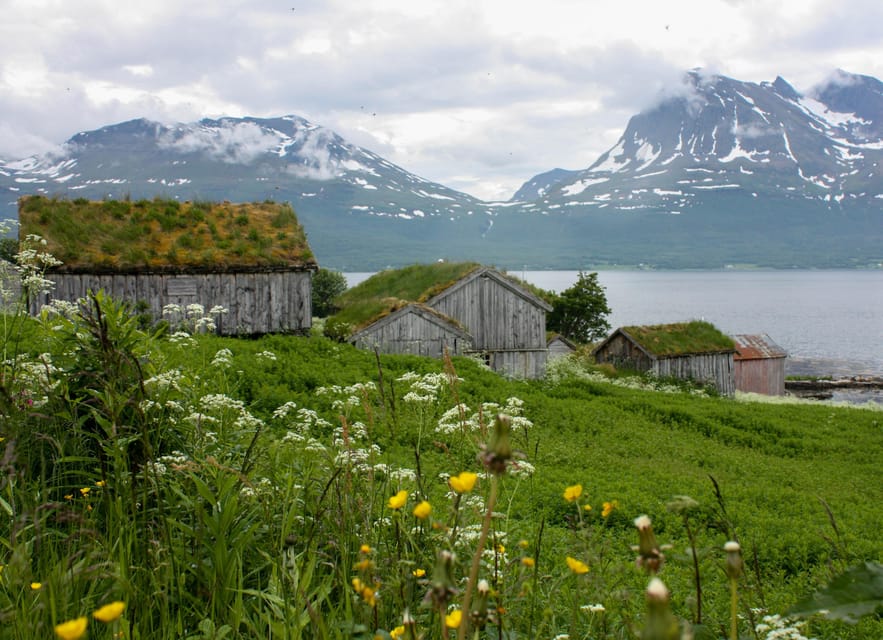 Tromsø: Small group Fjord Adventure, by Local - Why the small group changes the day