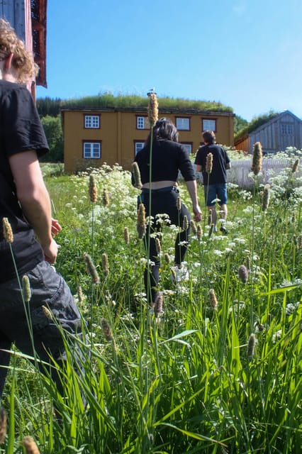 Tromsø: Small group Fjord Adventure, by Local - Coastal stories at Straumsgården and Kvalneselva
