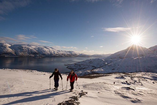 Tromso Snowshoeing - Valley, Fjord Views, Wildlife, Meal & Pickup - Lunch at the high point, with tea and coffee