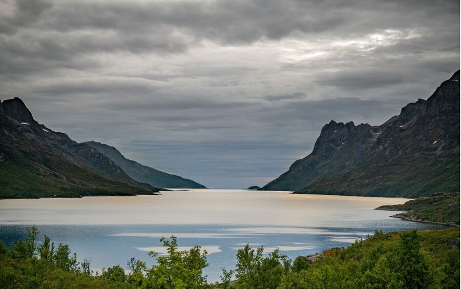 Tromsø: Sommaroy Fjord Tour with Lunch Option - Price, group size, and what you receive