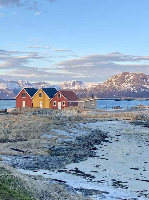 Tromsø: Sommerøya and Kvaløya Arctic Fjords Tour with Lunch - What the Norwegian lunch is really like