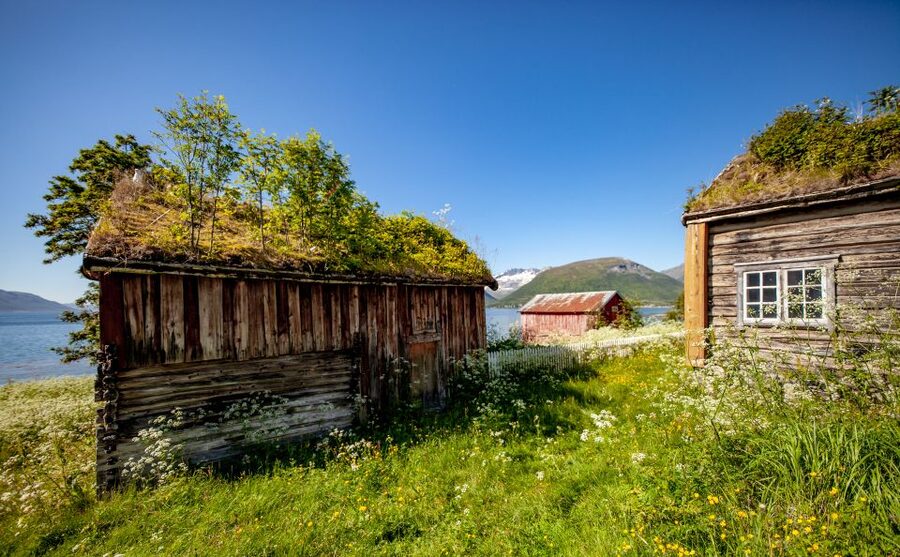 Tromsø: Summer Fjord Road Trip with Citizen Science - What to bring for a more comfortable day
