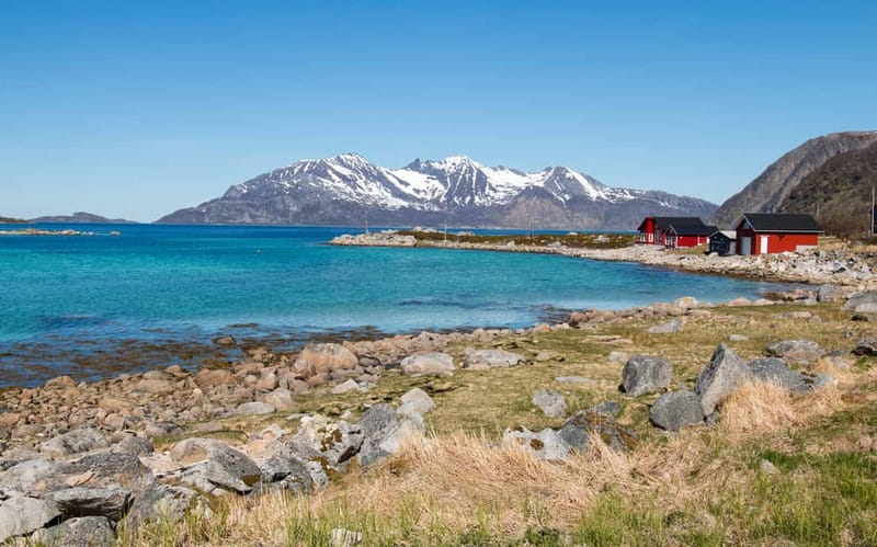 Tromsø: Summer Fjord Road Trip with Citizen Science - The citizen science stop by the water