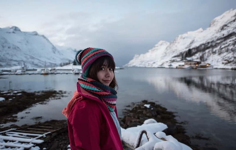 Tromsø: Winter Fjord Road Trip - Wildlife watching without false promises