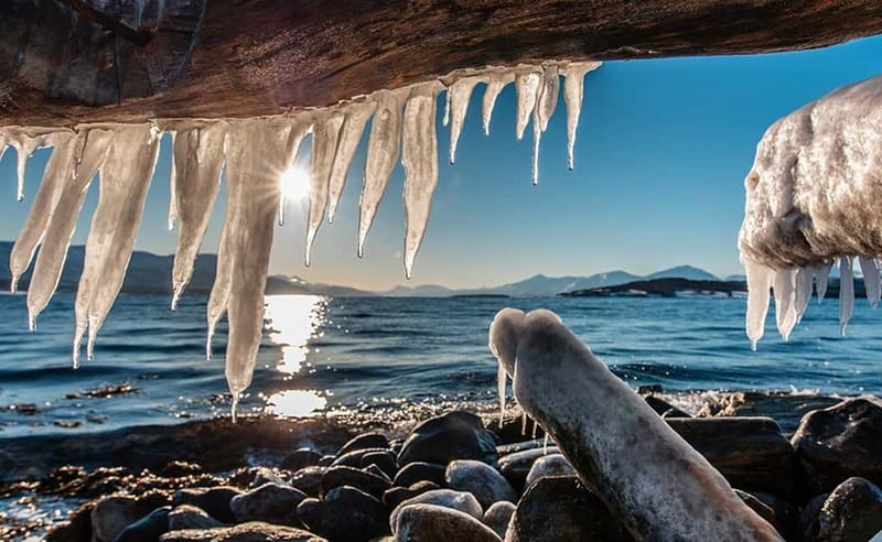 Tromsø: Winter Fjord Road Trip - Photo stops with help from the guide