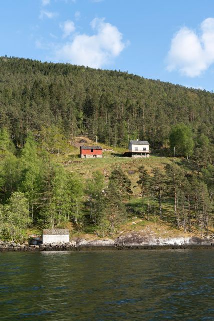 Ulvik adventure: Exploring Hardangerfjord's Osafjord by RIB - Is $94 a fair price?