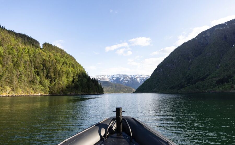 Ulvik: Hardangerfjord Ultimate RIB Tour - Under the Hardanger Bridge