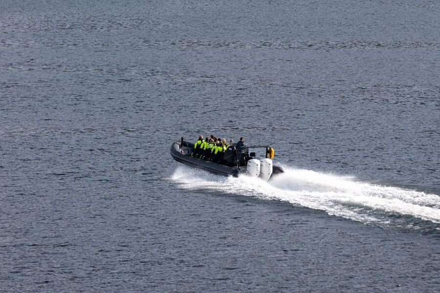 Ulvik: Hardangerfjord Ultimate RIB Tour - Starting at Brakanes hotel in Ulvik