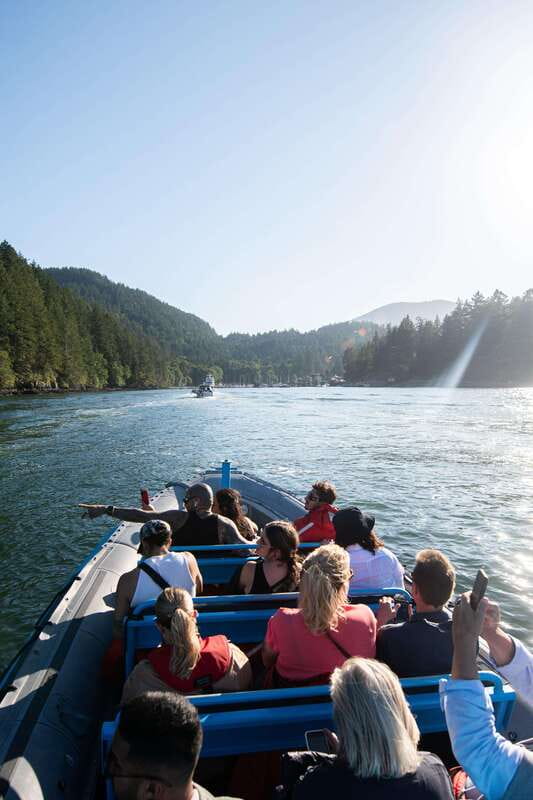 Vancouver: Boat to Bowen Island on UNESCO Howe Sound Fjord - Timing, comfort, and physical limits