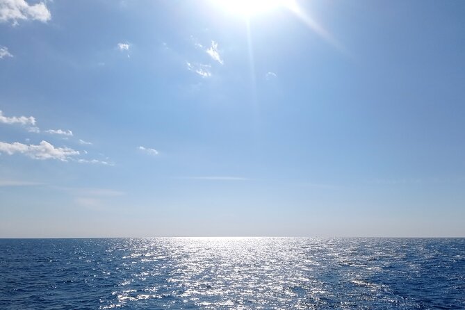 Vrsar, Lim Fjord and Rovinj Day Tour by Boat with Drinks - Who will enjoy this boat tour most?