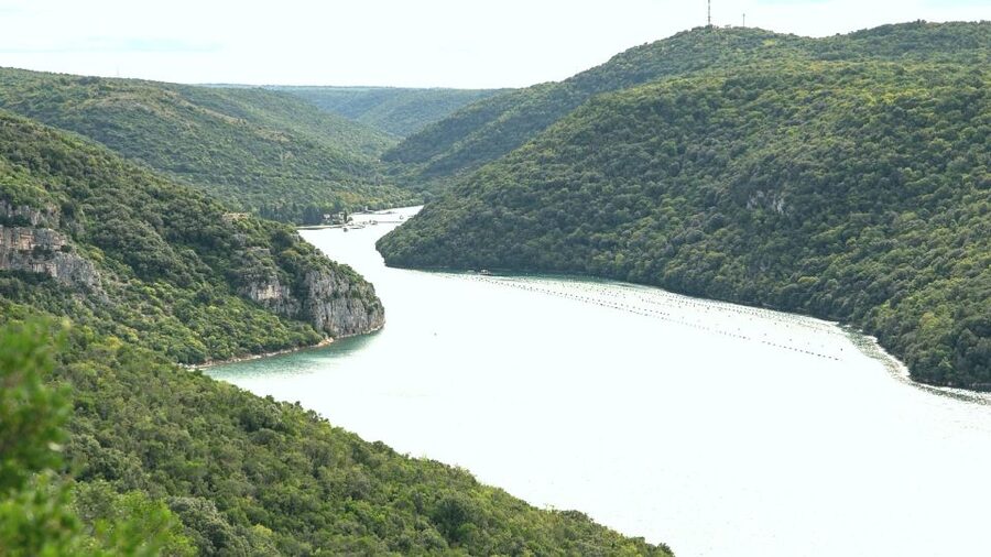 Vrsar: Lim Fjord Boat Tour with Swimming near Pirate's Cave - The 50-minute stop at Pirate’s Cave