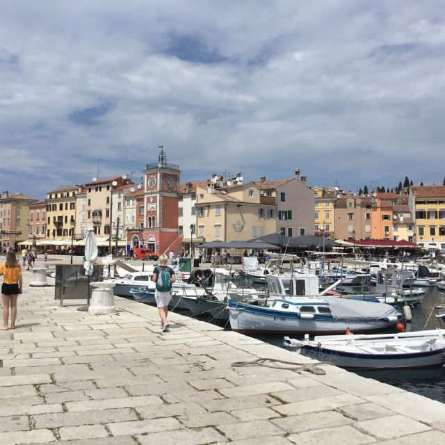 Vrsar: Lim Fjord - Rovinj Fish Picnic - Key points to know before you book