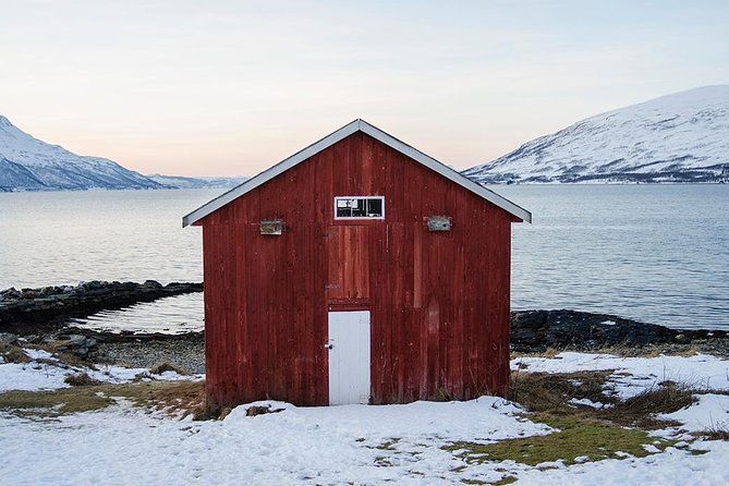 Winter Fjord Road Trip with Wandering Owl - A quick road out of Tromsø