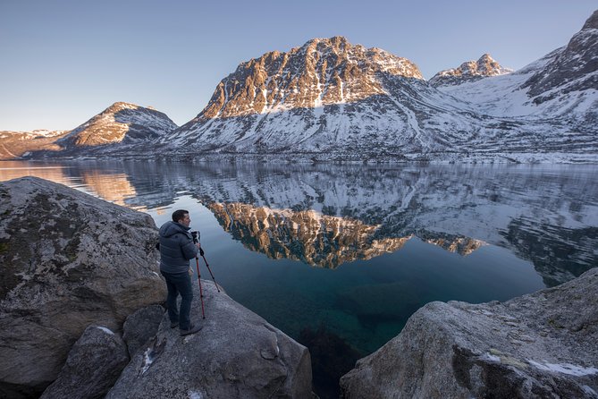 Winter Fjord Road Trip with Wandering Owl - Reindeer, seabirds, and the wildlife element