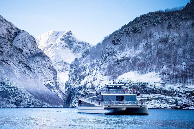 Winter Fjord Tour to Nærøyfjord, Flam and Stegastein from Bergen - Key points to know before booking