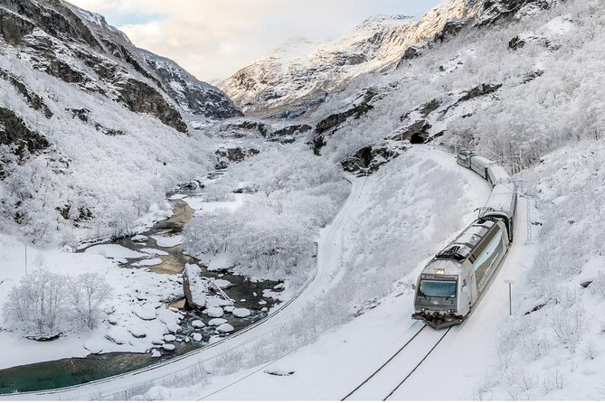 Winter Tour Viking Village, Nærøyfjord Cruise and Flåm Railway - Key points at a glance