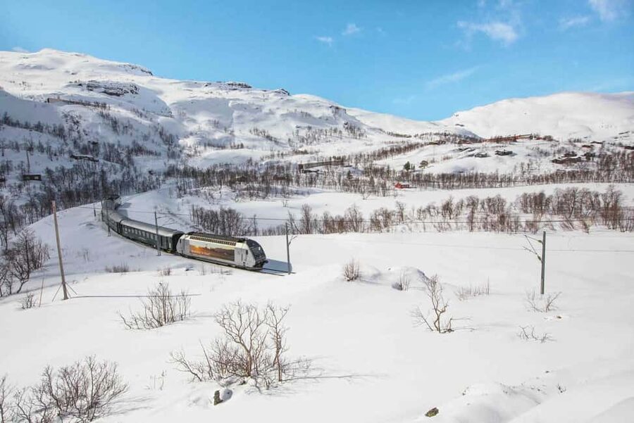 Winter Tour Viking Village, Nærøyfjord Cruise & Flåm Railway - What the $414 price really covers