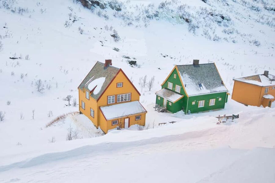 Winter Tour Viking Village, Nærøyfjord Cruise & Flåm Railway - Should you book it?